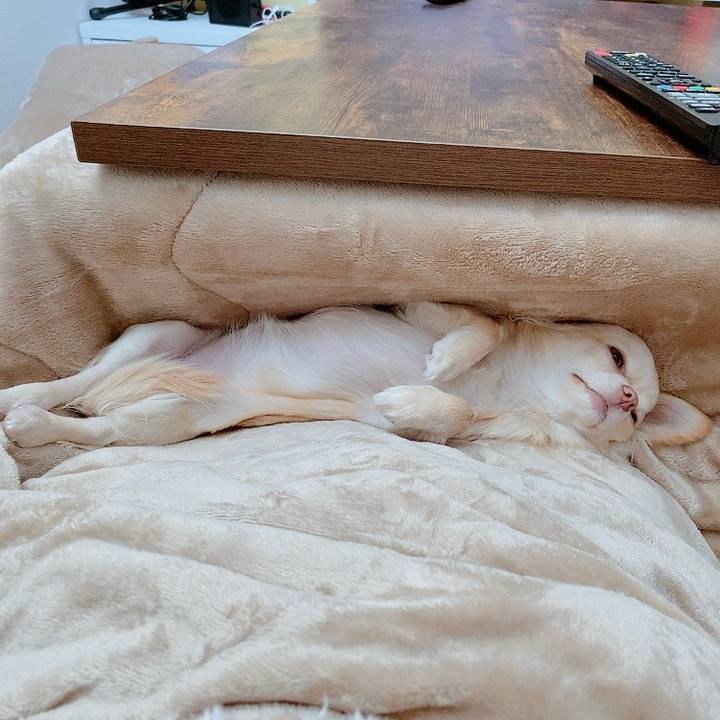 Fadededa b568 494b 9ad7 266294da6dd9 1612342432058