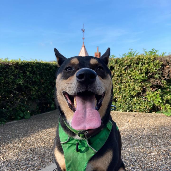 Fadef64a 568d 4e1e 8b1a 897e1358561b 1597367843112