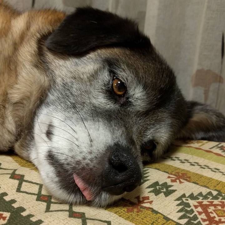 Fadf3515 3f74 4a5e a2cd 478a012b1589 1522331687915