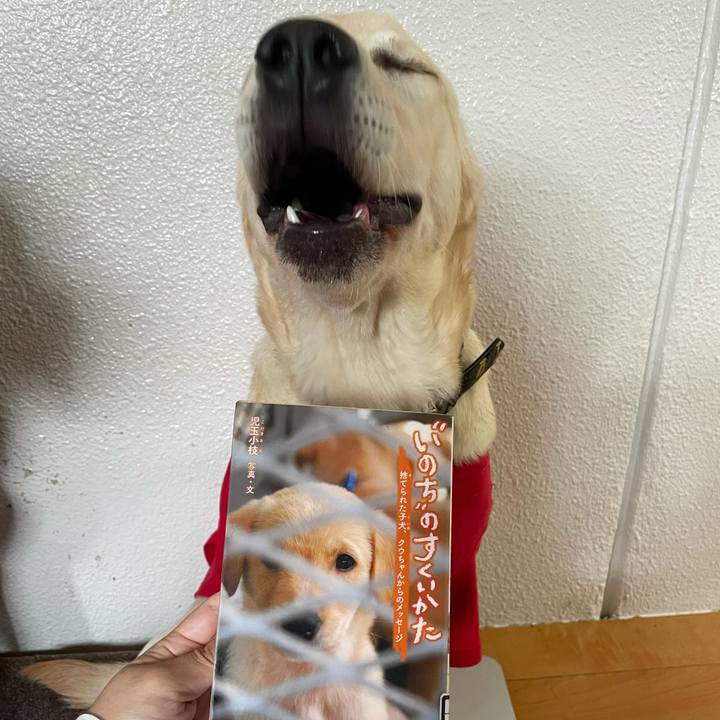 Fadf4cda 5f54 4034 a27b 66f3409e5df5 1620982768405