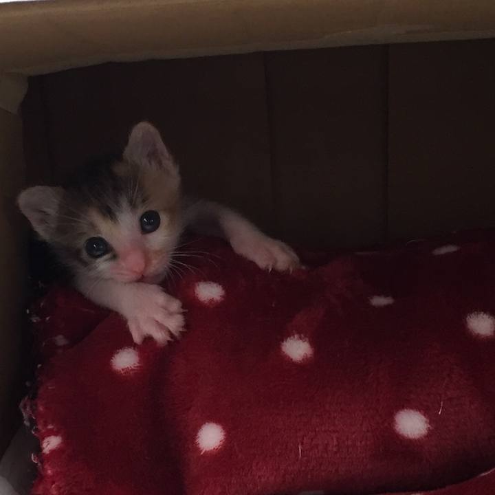 Fadf921a 403a 4393 9cac 26894722b2f9 1567824786415