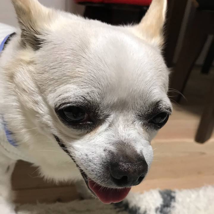 Fadf9679 ae72 4dd8 8fb9 439bf8694699 1597059488074