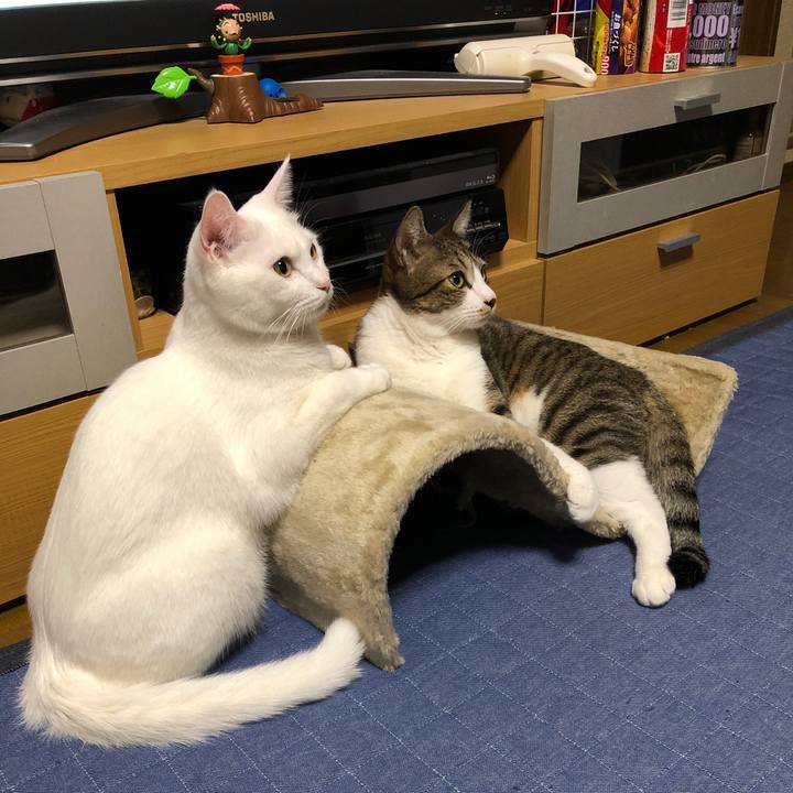 Fadfadb8 3687 4c72 afe5 a9acb111c913 1595768182272