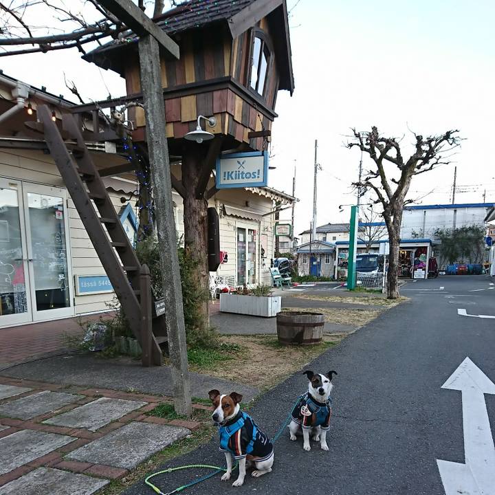 Fadfb7aa 531d 479a a19d 2af95f9a5dd5 1581156787469