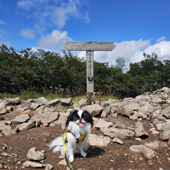 Fadfdcfb ab61 4b46 8591 e76167f88766 1726576151997