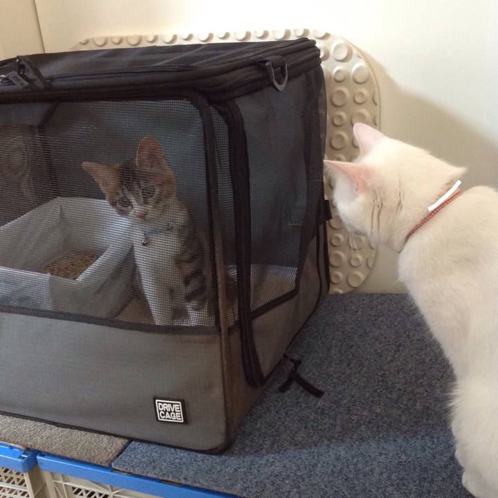 Fae00830 d202 4da2 a42a 5efa29e849d1 1631505256351