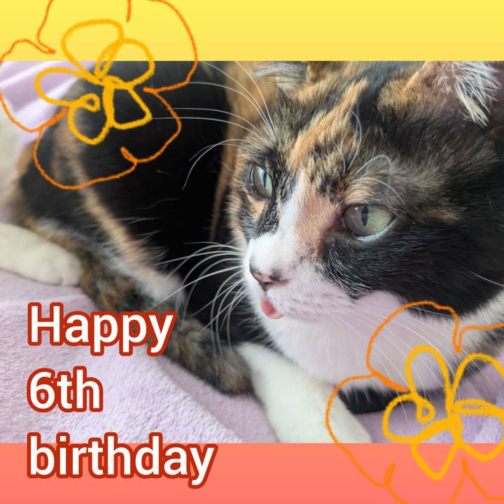 Fae023eb 45ca 4d4f 9a3c 671b7864ca54 1770260046230