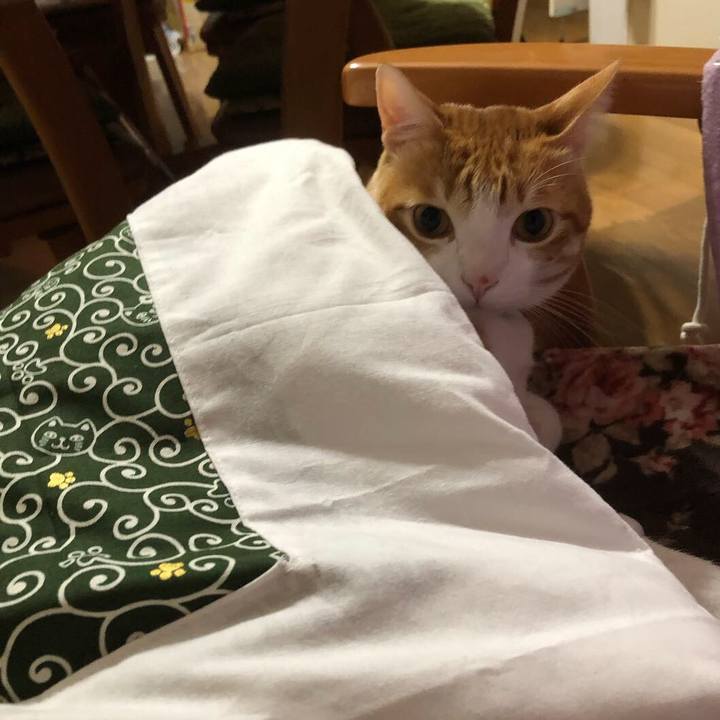 Fae03e24 b3f1 4c17 8f9a 7a99234ae8db 1552656584816