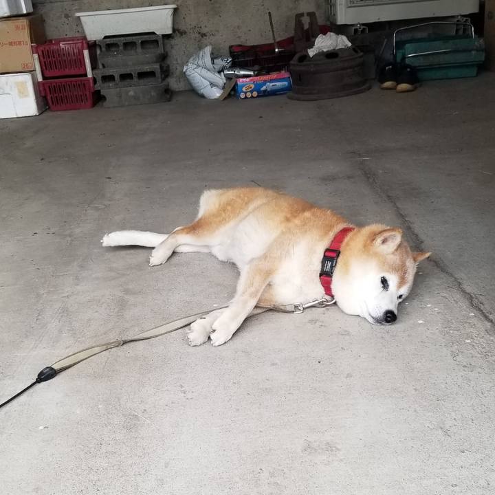 Fae05c65 86e8 4c15 b69d 698e527f9cf7 1748335645283