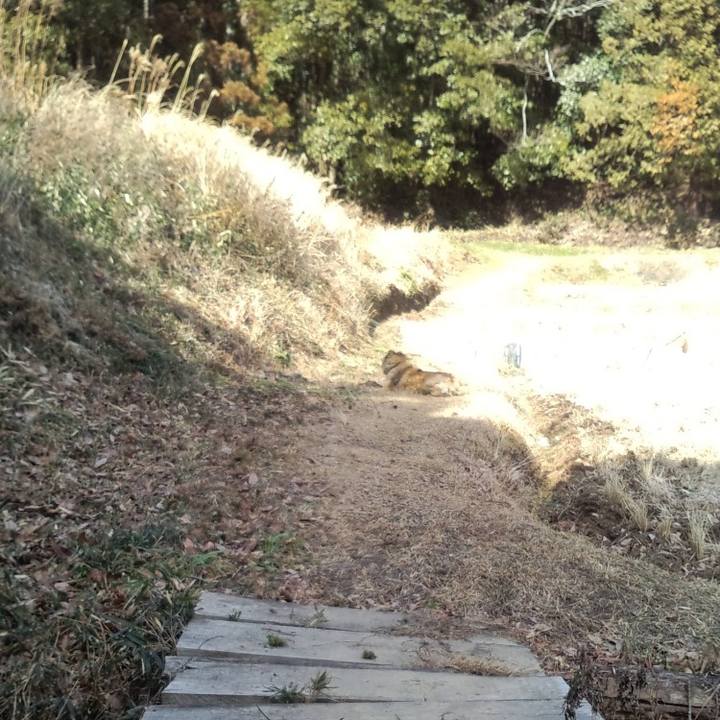 Fae06907 cf27 4c4d b1a7 5756c29bdc45 1564439411550