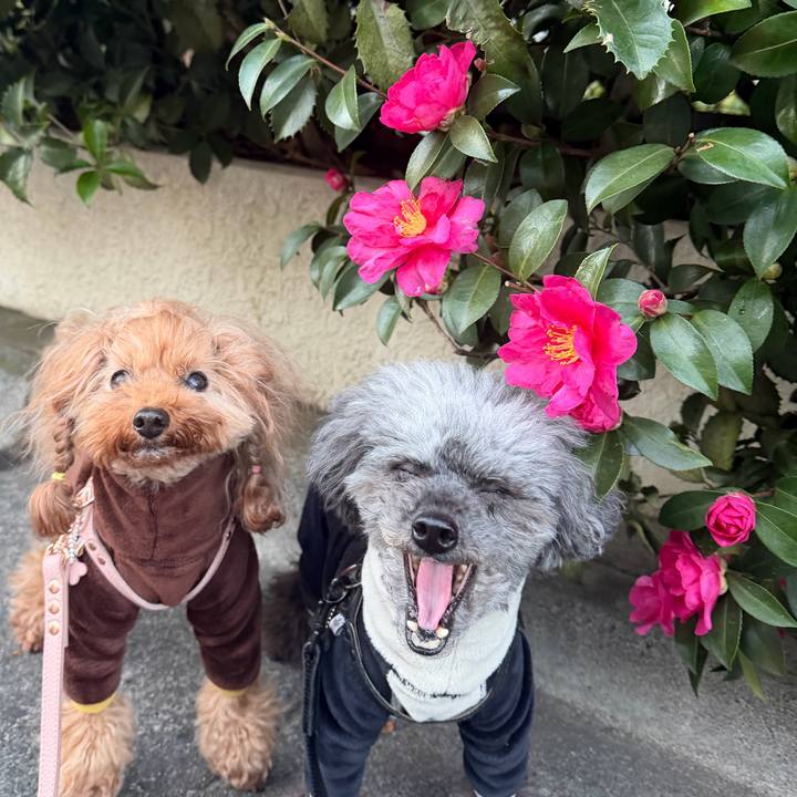 Fae06df9 4cec 4684 a7c8 193379086646 1766704816134