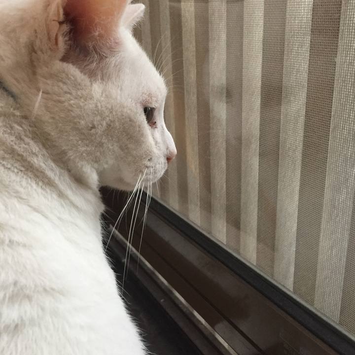 Fae08e2f d0d8 460e ab01 6ea5b30b4579 1507848580190