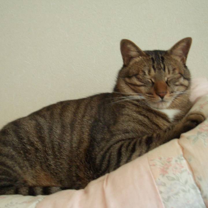 Fae0be06 5f0f 4253 a2e6 78c83acf4875 1574310044311