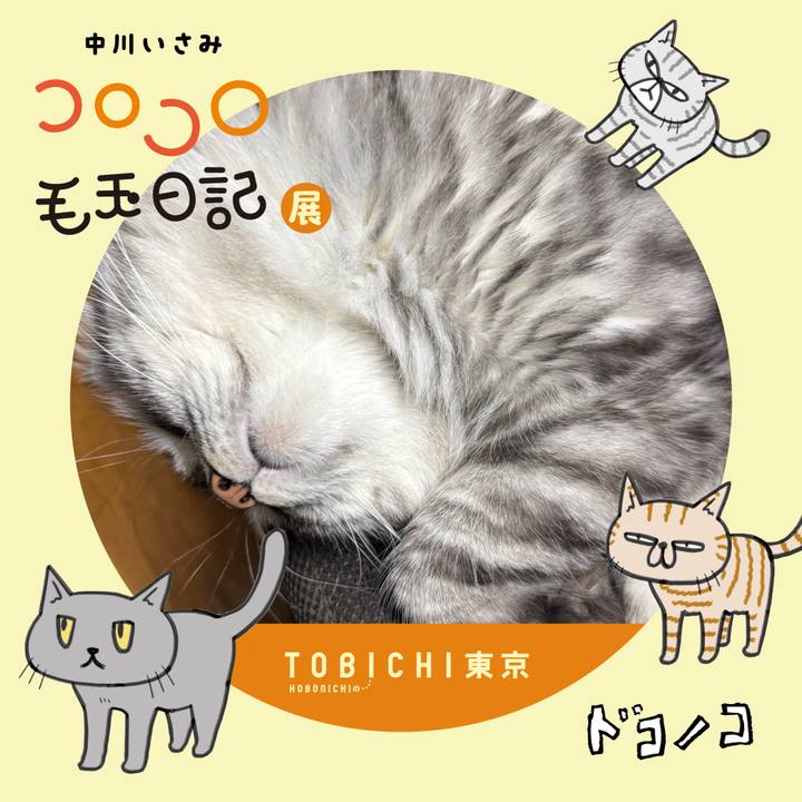 Fae0f249 be63 415c 8f1b 31a8232dd952 1740155932692