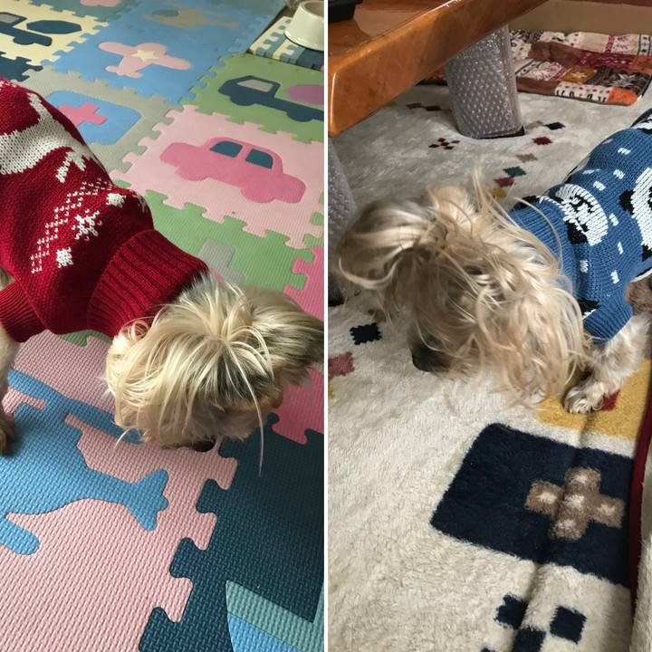 Fae12ce4 209b 43d4 98c8 d76ef6743afa 1704021669733