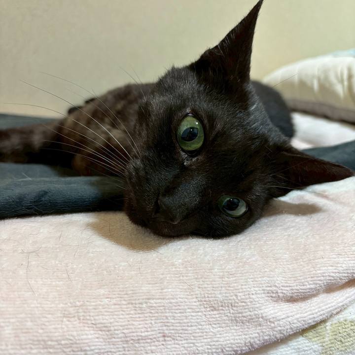 Fae13af6 6f6f 4164 a775 85f4475277d6 1744882694129