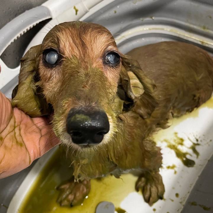 Fae1512d 0617 46c1 ad66 afc2344f39f0 1659874633905