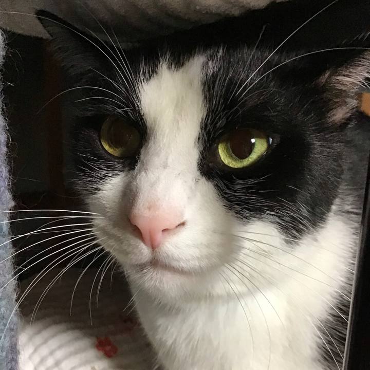 Fae16cb3 33a7 48ab 8d72 5c3670ee3ef9 1730114036271