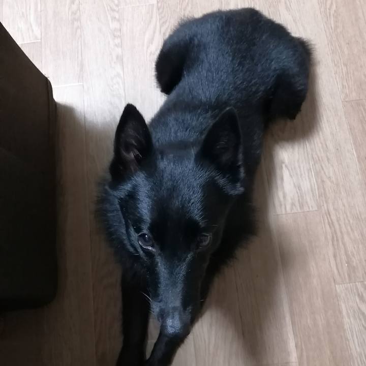 Fae170c2 1fa2 47de a42e 0707282d1b98 1602192885507