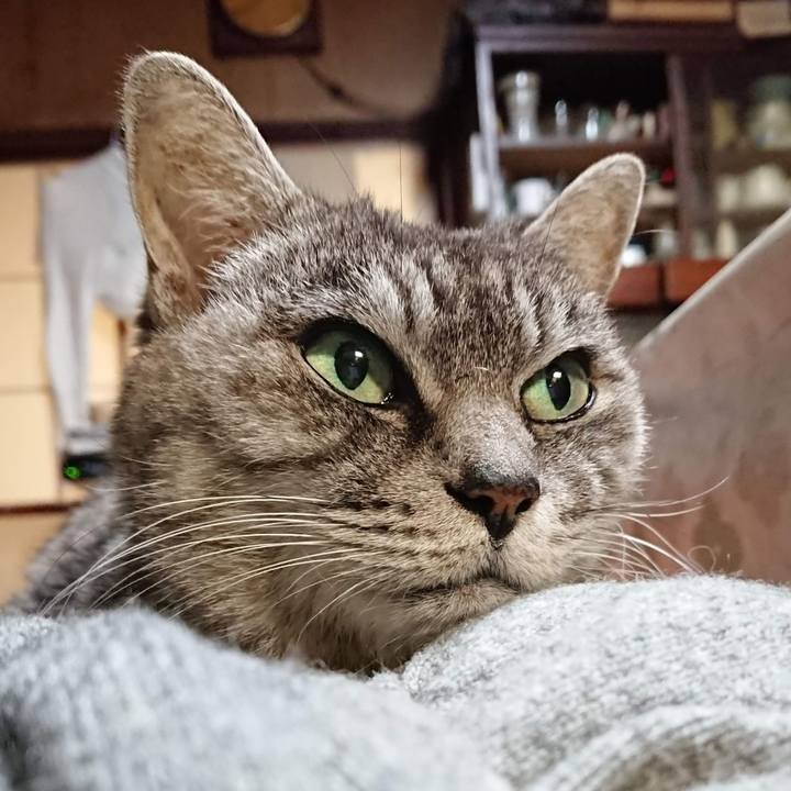 Fae1777c 2c44 4d6e a857 8ec14b170724 1606078501021