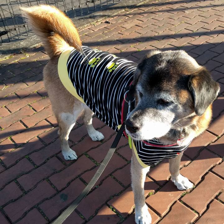 Fae17af5 9ade 4628 9b31 9ac44896c429 1515979334847