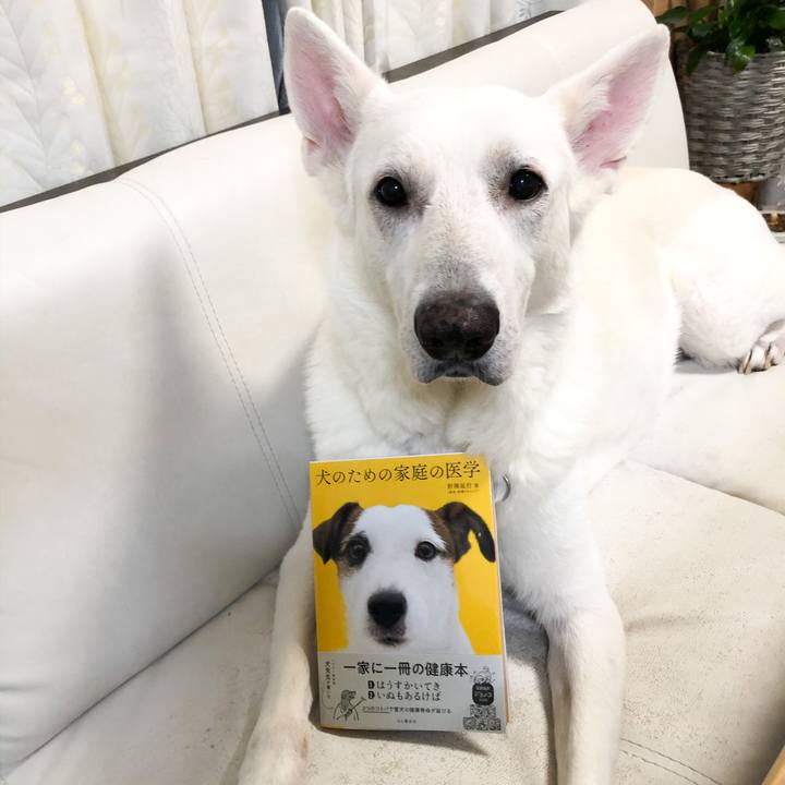 Fae1939d f3a6 4ba0 92bd d486109afcfd 1576238614177