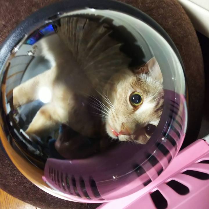 Fae1a890 5e1a 42e0 8b6d 7825750dd9a2 1591180570422