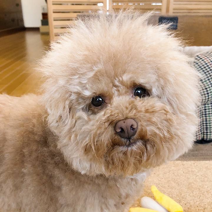 Fae1f3fe 4f32 41ca 988a 3a0db7d0097f 1551844776297