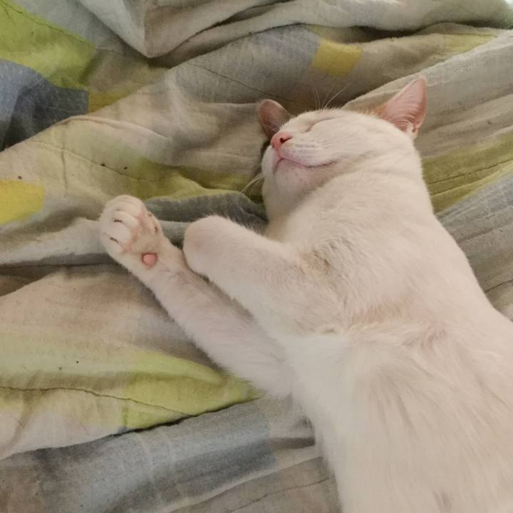 Fae205b8 d214 4eb4 8974 8b8dbc006667 1551014895759