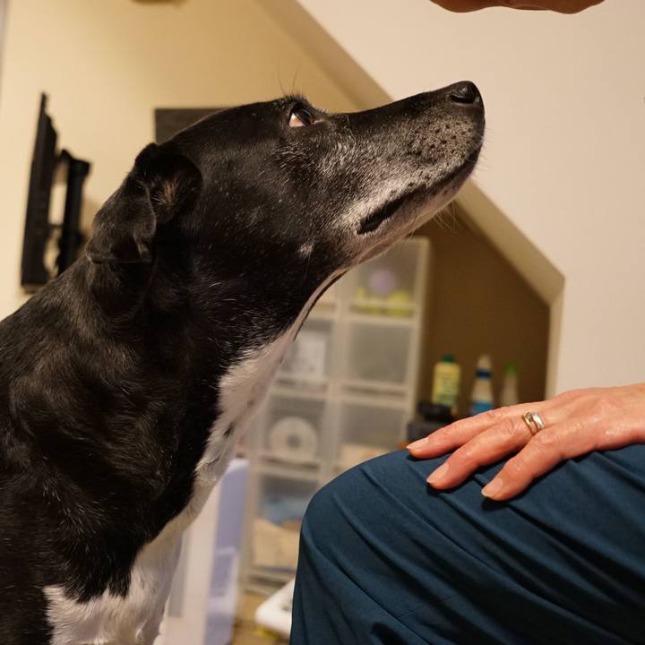 Fae26b4b 1e53 4a22 87ce 41c544ac2625 1766362696656