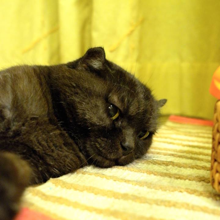 Fae292e2 7441 495b a2a1 dbcd6fc59a5f 1631206768127