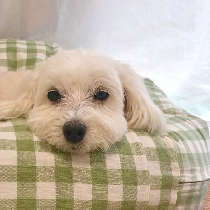 Fae293e9 1a1b 4745 a043 61b447c3fb82 1568419503685