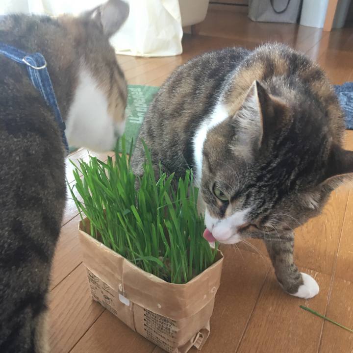 Fae2b4c8 821e 4eec 989c 9a3d716f4a57 1690333085792