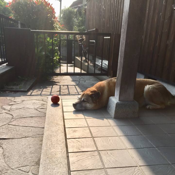 Fae2f5ef b233 4d28 bc3e 42dcb9c5766d 1560986341133