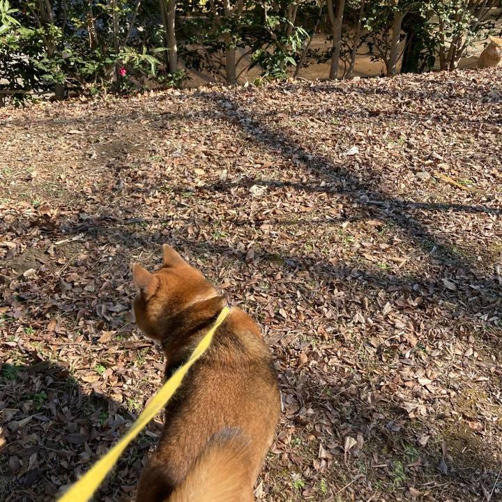 Fae381ae 82d2 41ff 8179 025c6df1c716 1643791001049