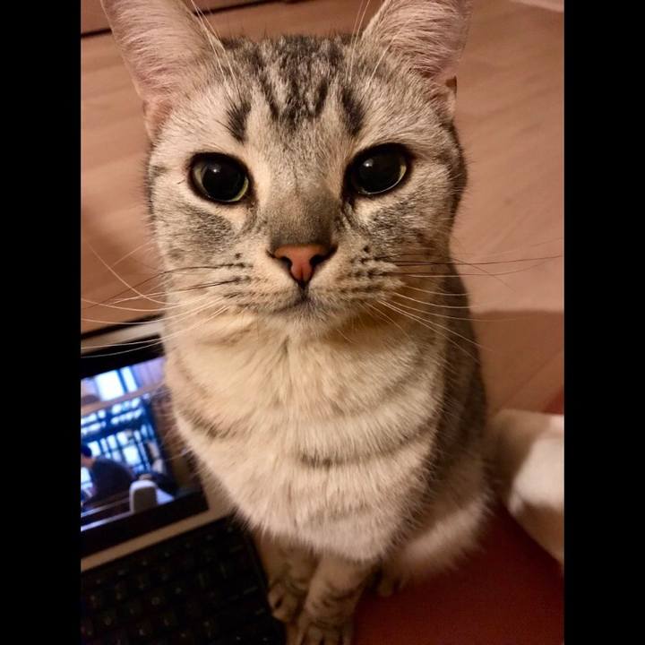 Fae39603 cf44 497a 8e35 08164f856e75 1516704396374