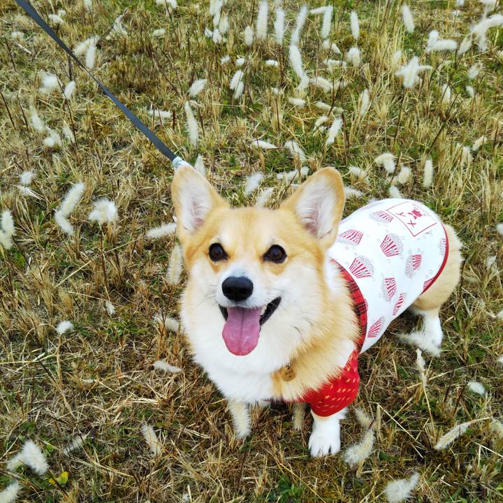 Fae3a25d 43df 4e2e af2e bd32b969202c 1575721315408