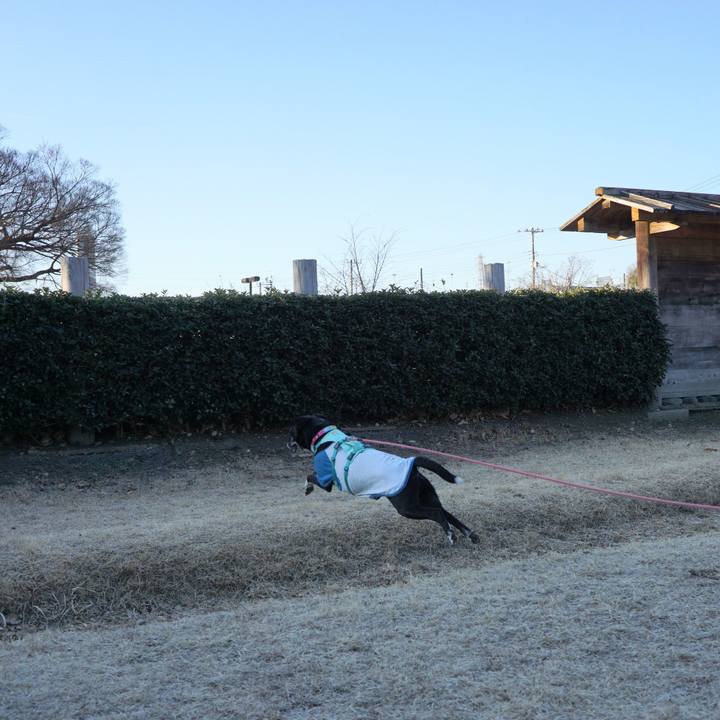 Fae3d48f aba7 4f56 a90e c2f7ef2777ec 1770164200702