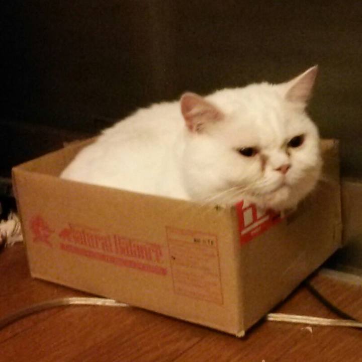 Fae3ef5d 8186 42b5 a60c ca1ed107cf51 1539297738987