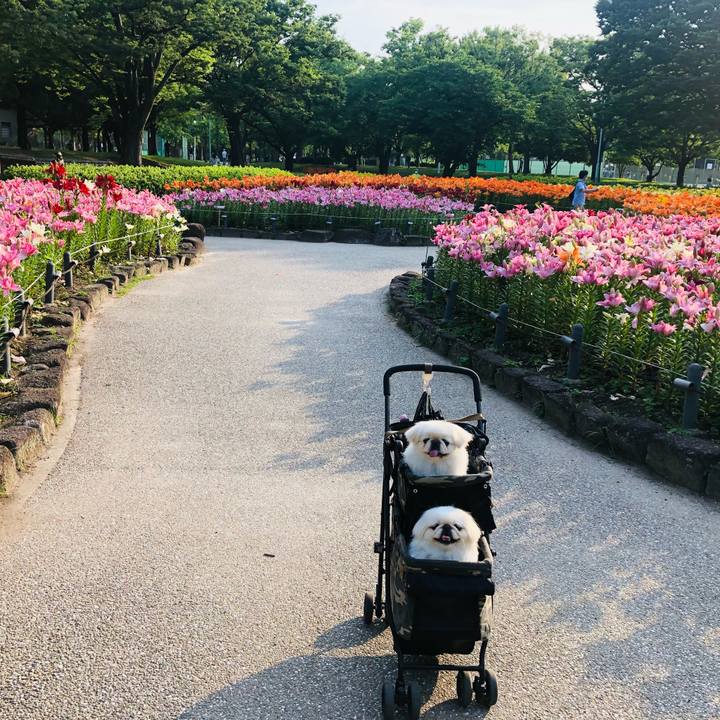 Fae40054 22ca 423a 8916 d643ddd2f371 1623109877868