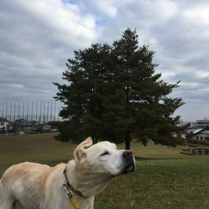 Fae401ef 7762 485f 9dd9 417c4b478a03 1542152448139