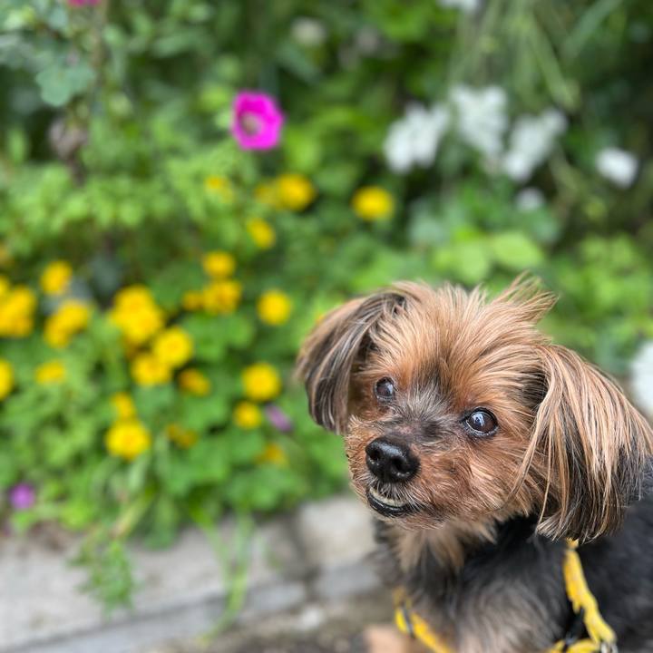 Fae421e6 e823 4cd9 83f8 62a7e5c6dead 1714184665241