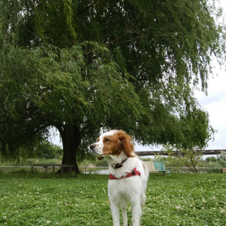 Fae428bf 3808 4723 92ad 2cba6d5f3454 1527670705843