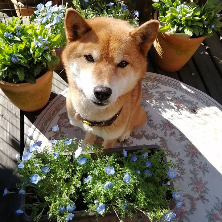 Fae43ed4 9e38 4b87 93c6 7840cf2477b1 1582763086218