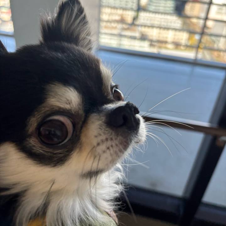 Fae43f8e c20a 4bb6 85b8 1067aea65ab1 1734194084210