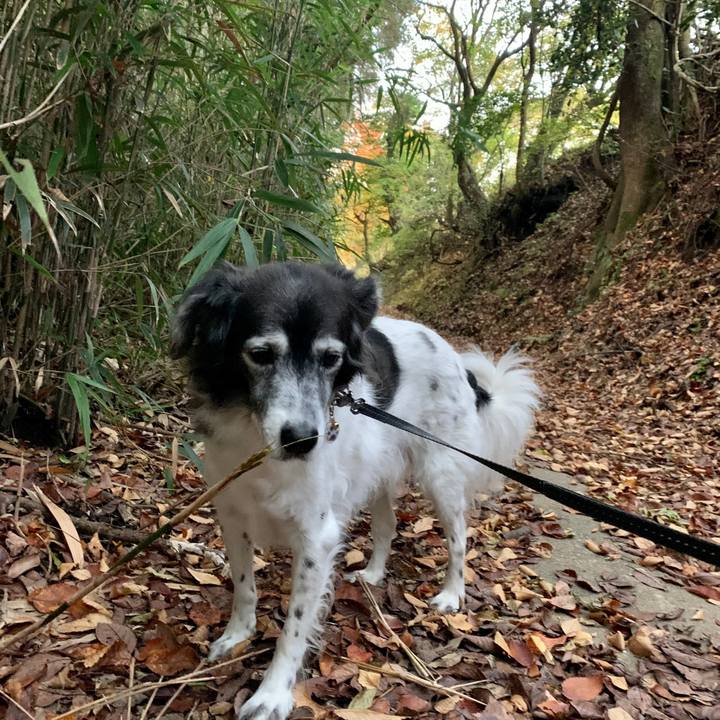 Fae4526a b67c 473e a8a7 04f9421daf80 1605054013789