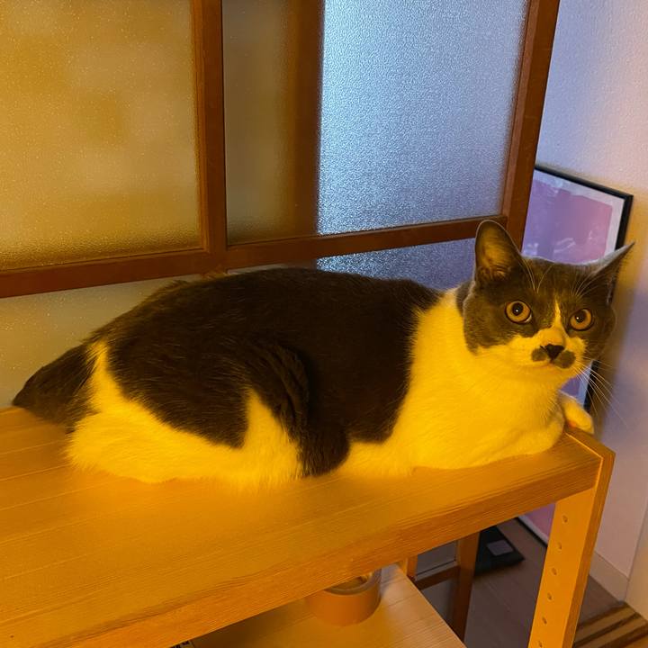 Fae46cc4 e96c 41d5 aef9 46be52baf9d3 1660553122687