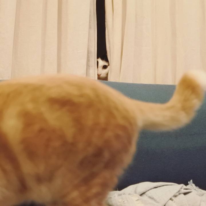 Fae46e37 f851 4209 8c6a fb966595f34d 1568128822934