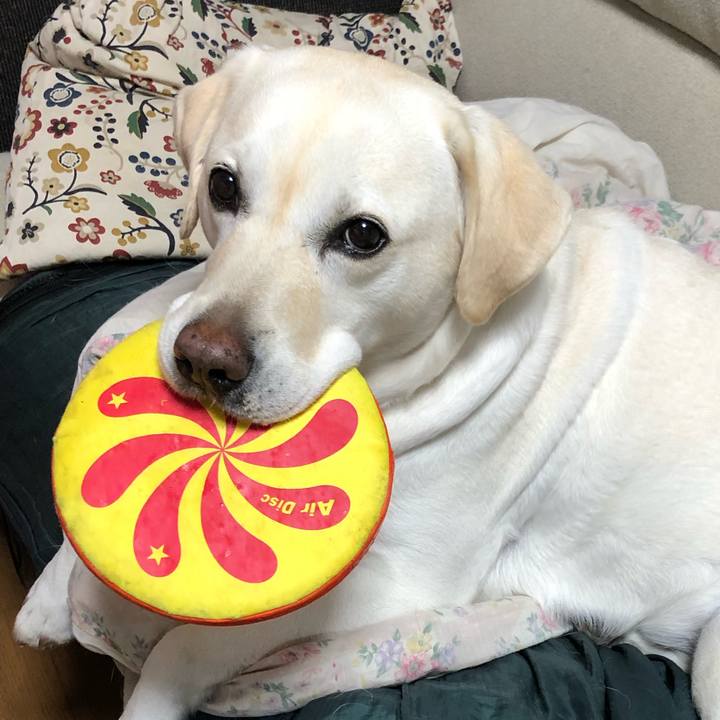 Fae4717d 0512 4734 8953 38ece20cee8b 1654472946817