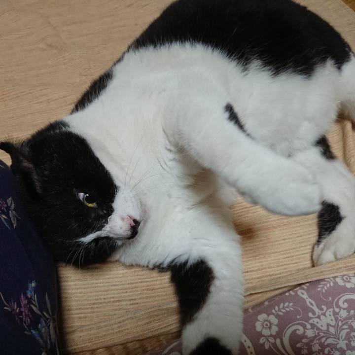 Fae480b7 e668 4d3c a459 ba25e02a2b16 1601895086502